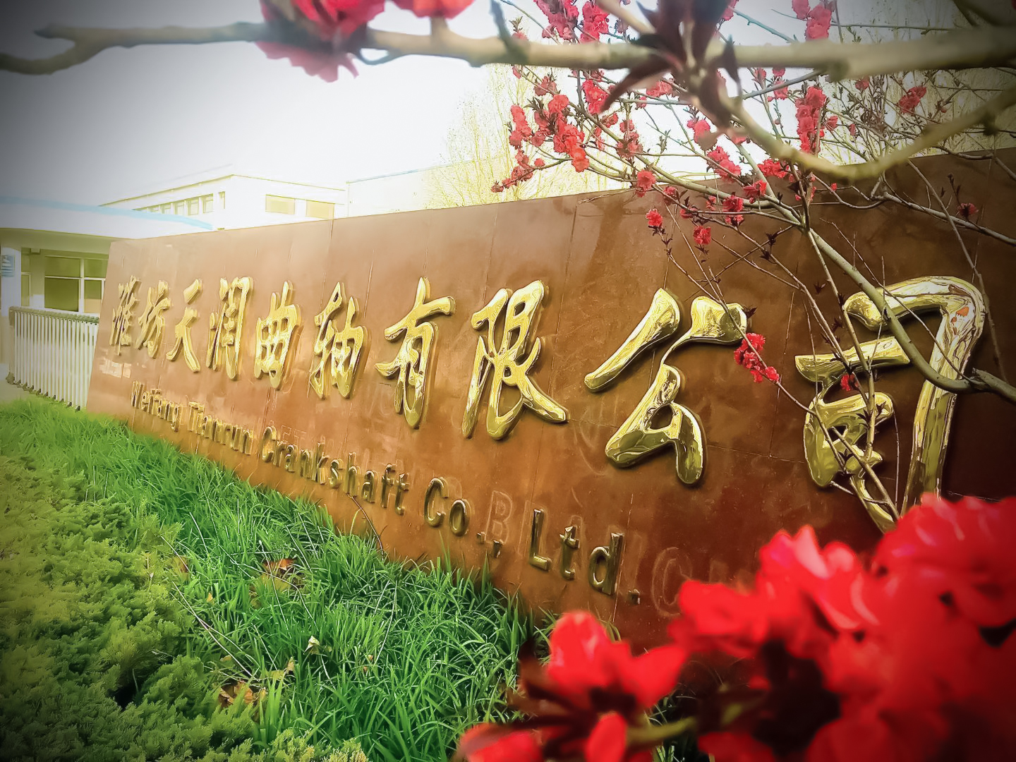 Ϋ���������ʹ����������޹�˾ ���������� ˵���� �����Ϋ���������ʹ��������������� ��һĨ��Ȼ����ɫ������������ ��һ��׳���ĺ�ɫ������������ ����һϰ�������ഺɫ������������ ���Ƕ������ʹ�����������������������ս��ʤ����ʱ������������ ���ϳ����������������������Ļ�ϣ�����������������ڼ��������������� �Ը߰�ƴ������ţ��������������������Ϋ���������ʹ��������Ĵ��졣������������.jpg